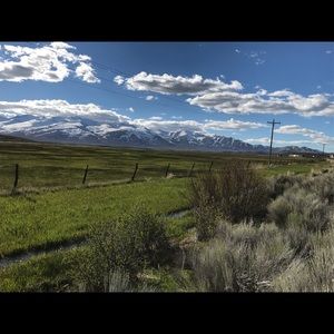 Meet your Posher, Antonina